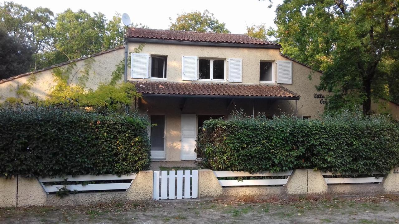 Appartement Soulac Sur Mer A 500 M De La Plage N 5 מראה חיצוני תמונה