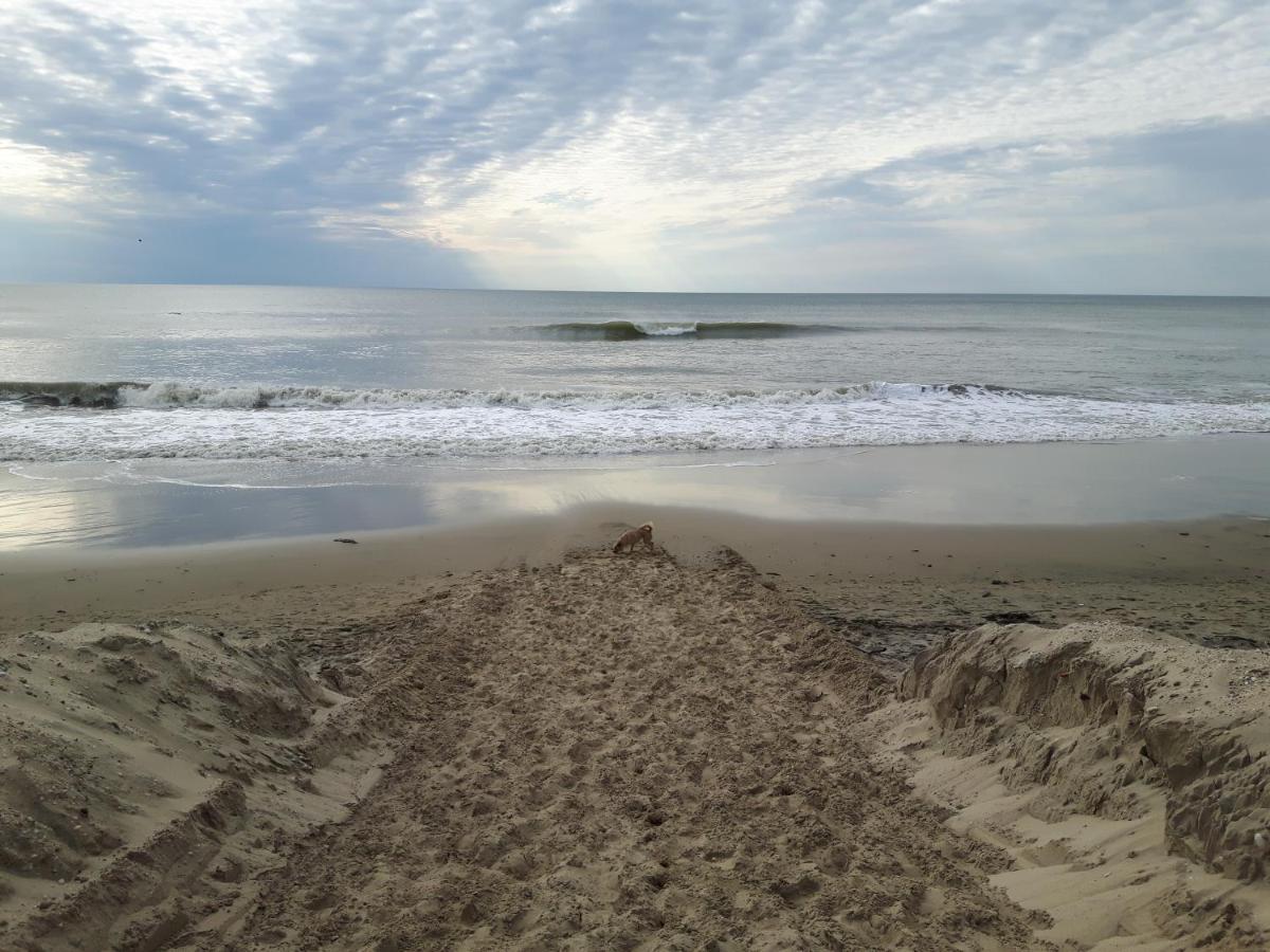 Appartement Soulac Sur Mer A 500 M De La Plage N 5 מראה חיצוני תמונה